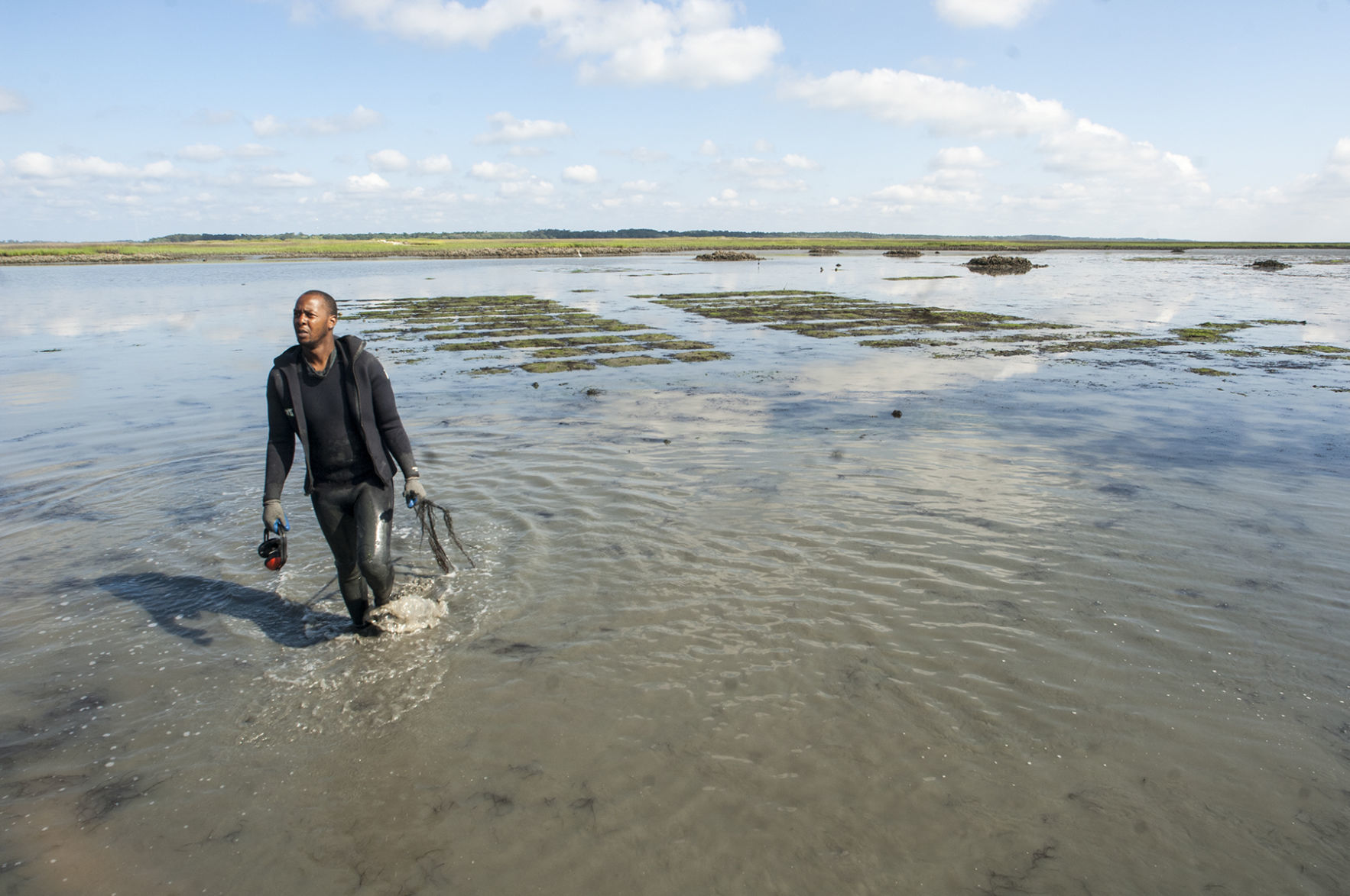 060918_Oysters06.jpg